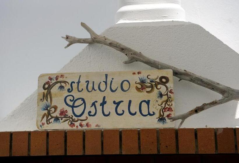 فندق Ostria Studios