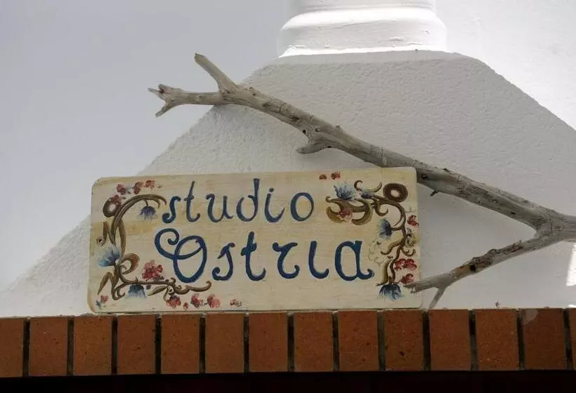 ホテル Ostria Studios