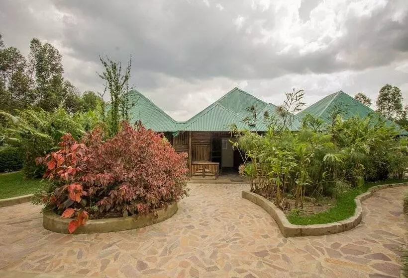 هتل Trek Savannah