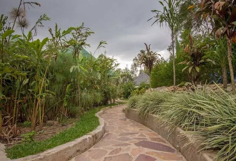 هتل Trek Savannah