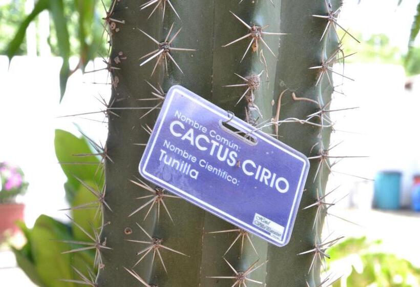 בית מלון כפרי Villa Paraiso