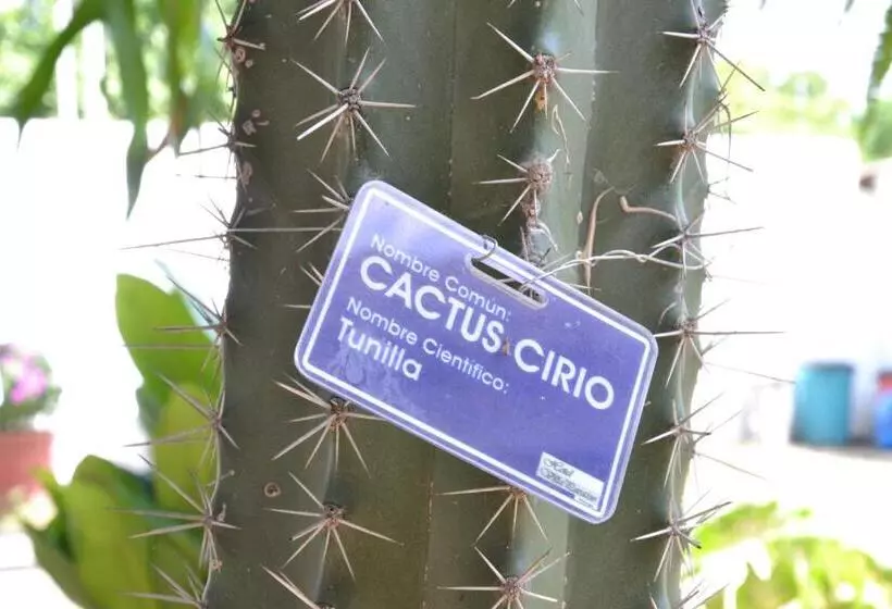 Hotelli Villa Paraiso