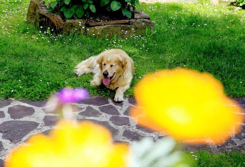 Residência Casa Rural Malkornea