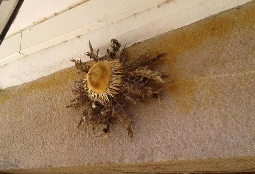 Residência Casa Rural Malkornea