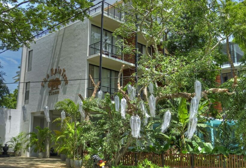 Hotel The Rain Tree