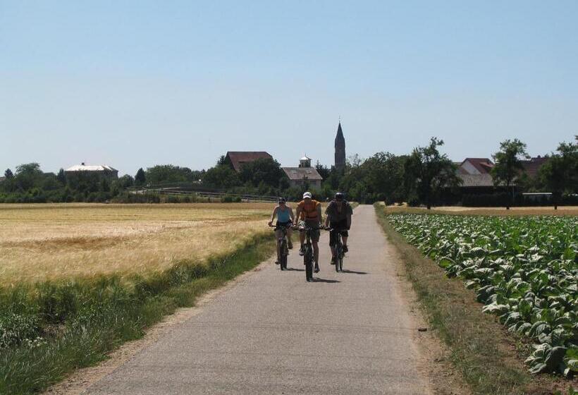 Neu Heidelberg  Guesthouse & Apartments