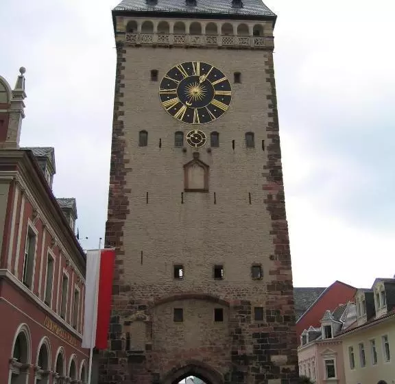 Neu Heidelberg Guesthouse & Apartments