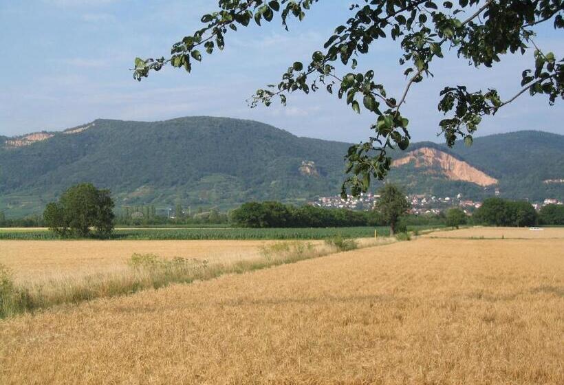 Neu Heidelberg  Guesthouse & Apartments