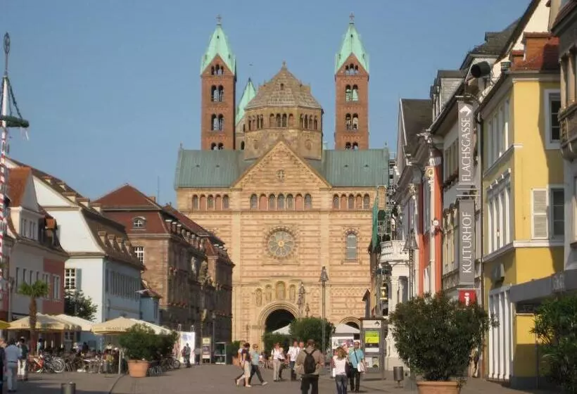 Neu Heidelberg Guesthouse & Apartments