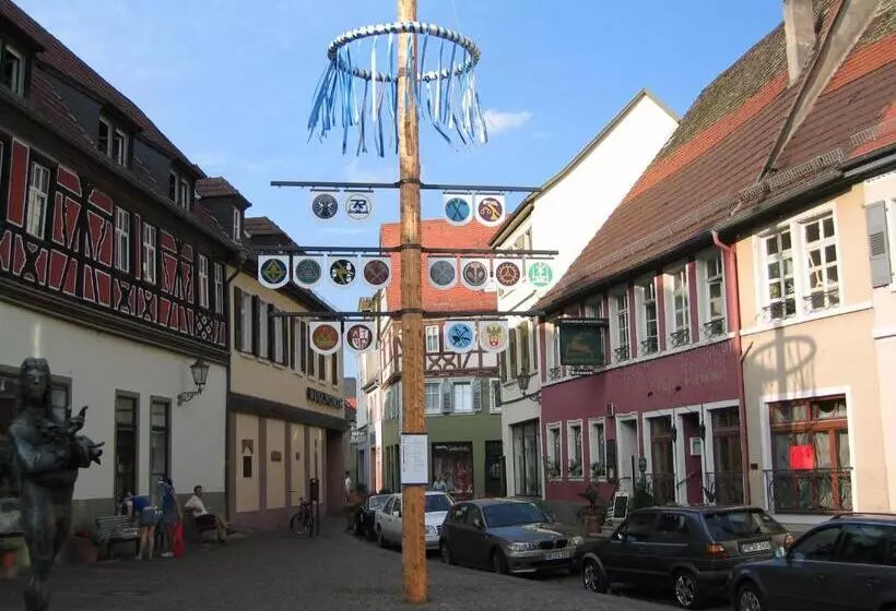 Neu Heidelberg Guesthouse & Apartments