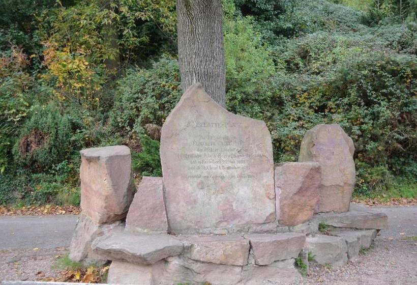 Neu Heidelberg  Guesthouse & Apartments