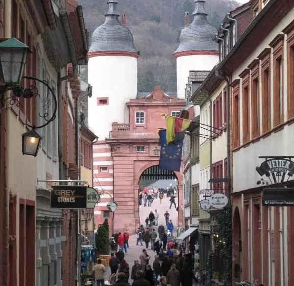 Neu Heidelberg Guesthouse & Apartments