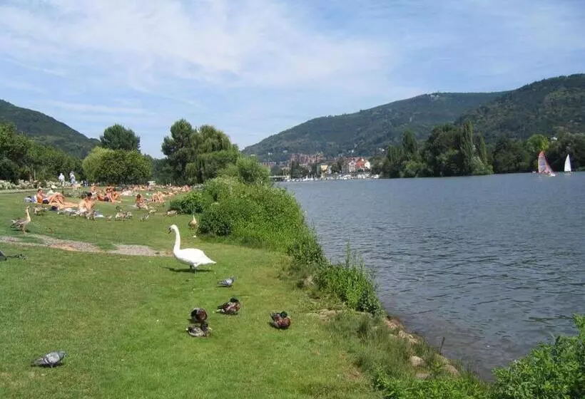 Neu Heidelberg Guesthouse & Apartments