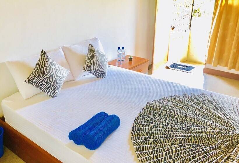 Trip  N  Chill Hostels Colombo Airport