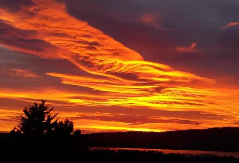 Waterview Gardens B&b