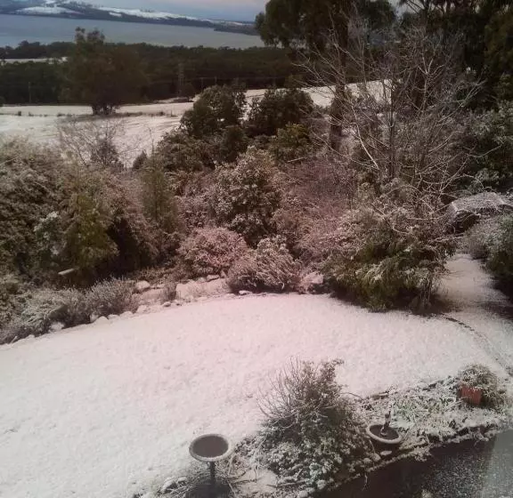 Waterview Gardens B&b