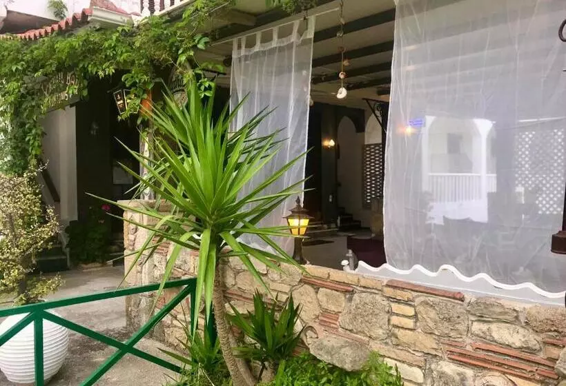 Dionysos Studios