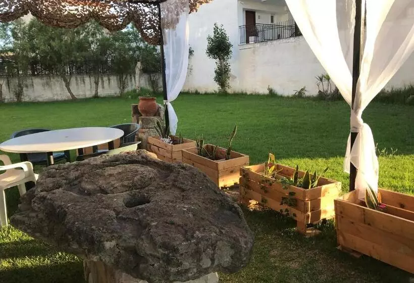 Dionysos Studios