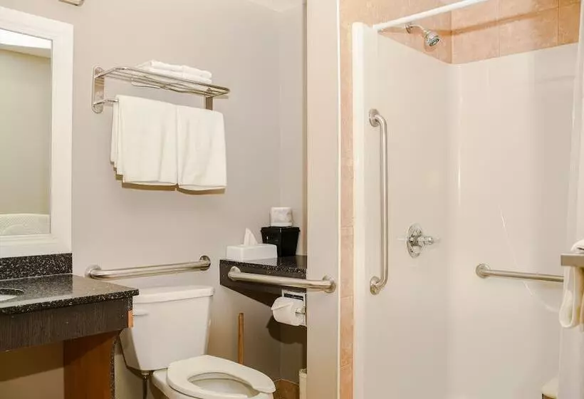 ホテル Crest Inn And Suite