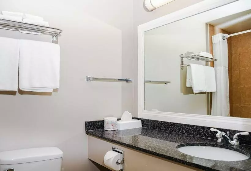 ホテル Crest Inn And Suite