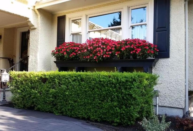 בית מלון כפרי Haddon House Bed & Breakfast