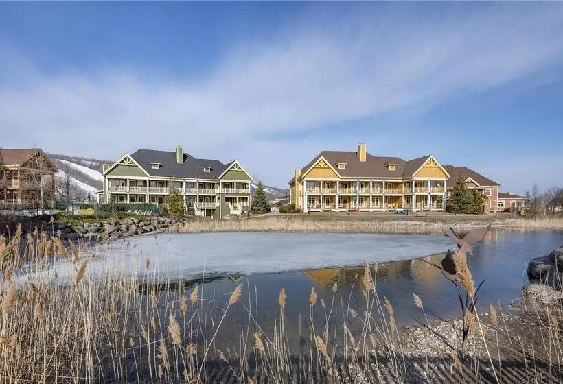ホテル Hilton Grand Vacations Club Blue Mountain Canada