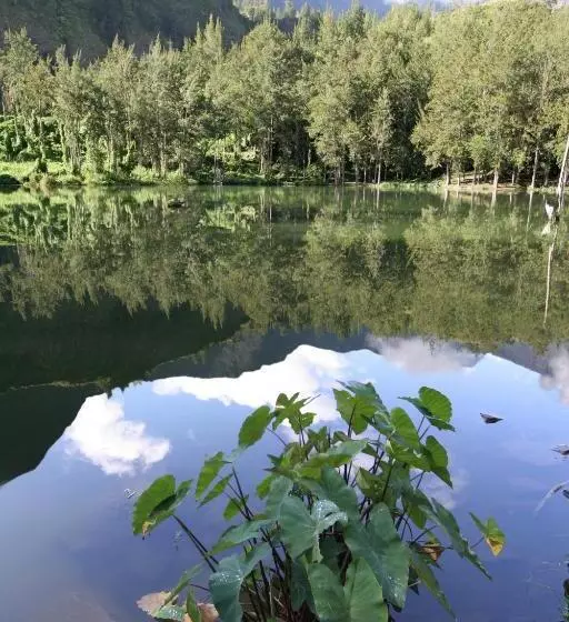 هتل Le Relais Des Cimes