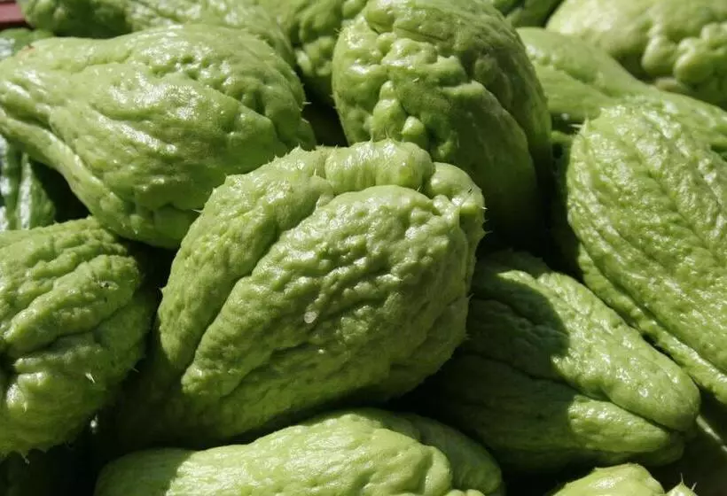 هتل Le Relais Des Cimes