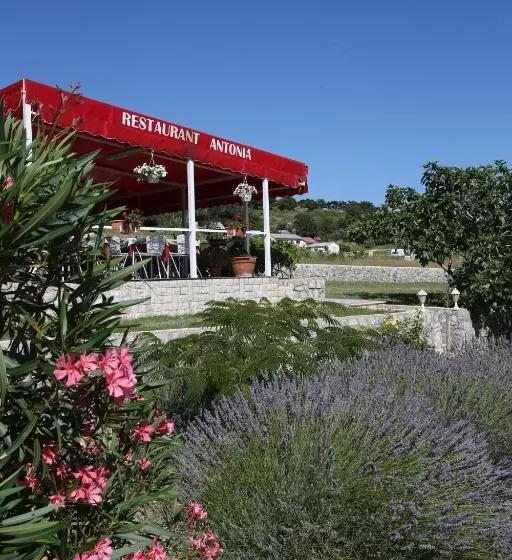 ホテル Pension Antonia