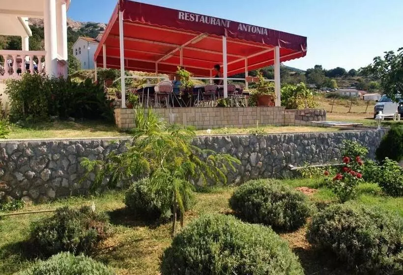 ホテル Pension Antonia