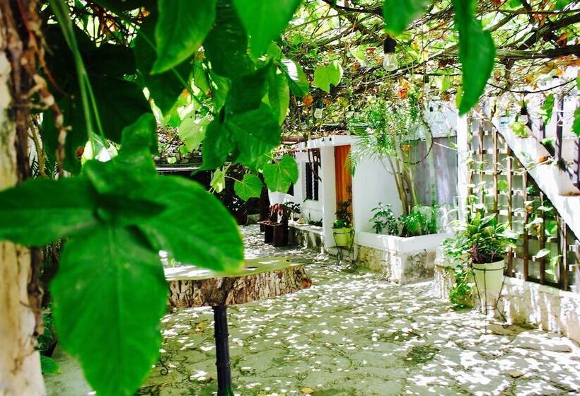 Posada Amor Hotel Boutique