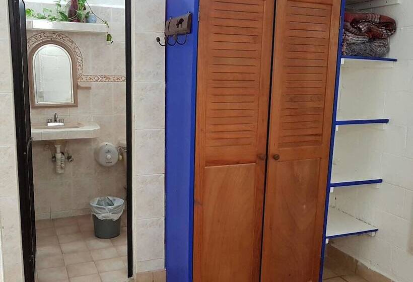 Posada Amor Hotel Boutique