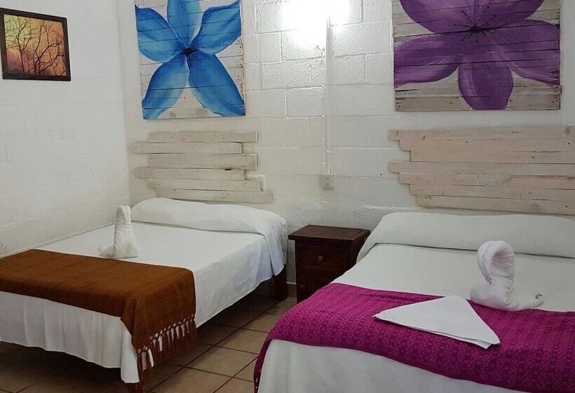 Posada Amor Hotel Boutique