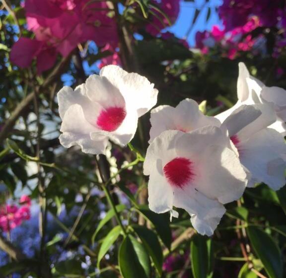 Hotel Darling Lodge Guest House