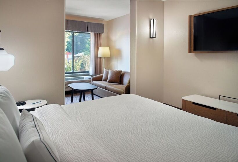 호텔 Fairfield Inn & Suites By Marriott Asheville Airport/fletcher