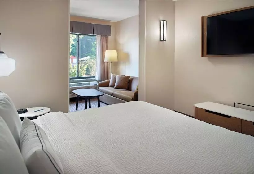 ホテル Fairfield Inn & Suites By Marriott Asheville Airport/fletcher