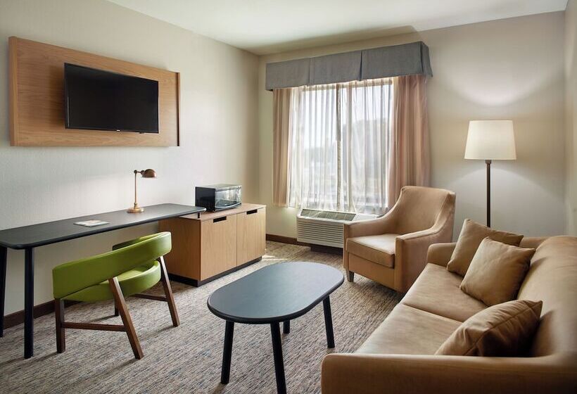 호텔 Fairfield Inn & Suites By Marriott Asheville Airport/fletcher