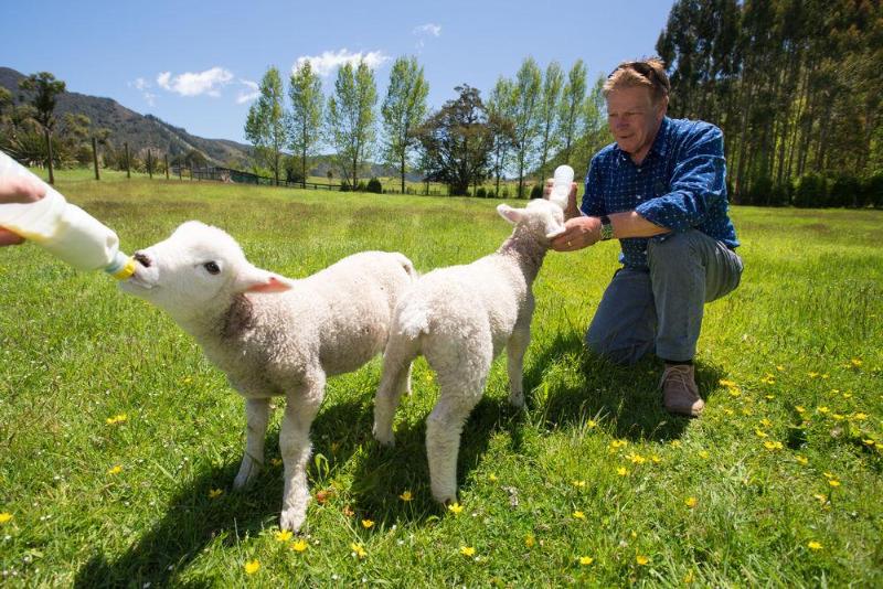 Szálloda Lake Rotoroa Lodge