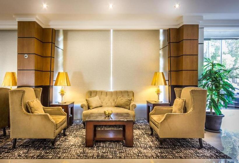 בית מלון כפרי Al Muhaidb Palastine Jeddah