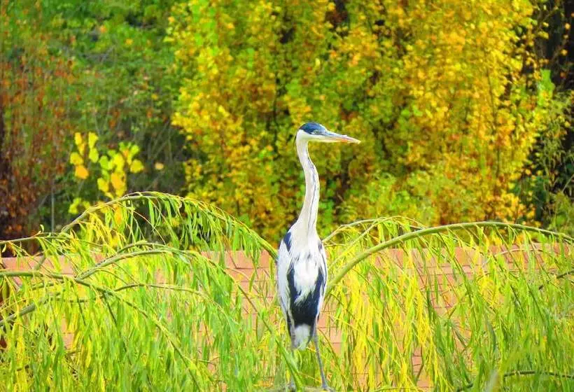 Hotelli San Francisco Lodge