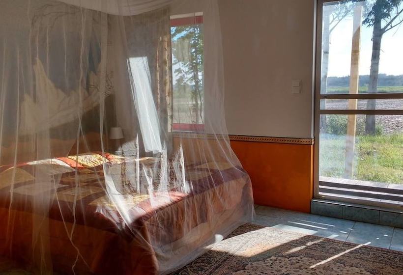 호텔 Termas Da Azenha