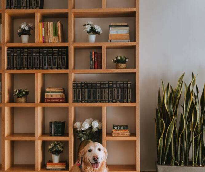 בית מלון כפרי Travelers Orange Suites