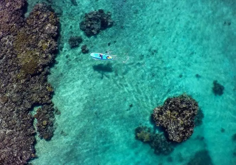 Hotel The Remote Resort