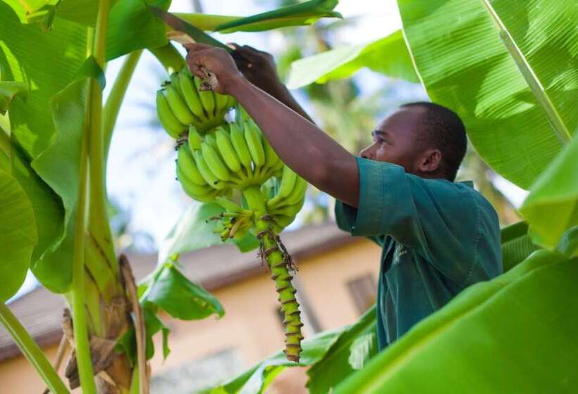 The Sands Beach Resort Zanzibar