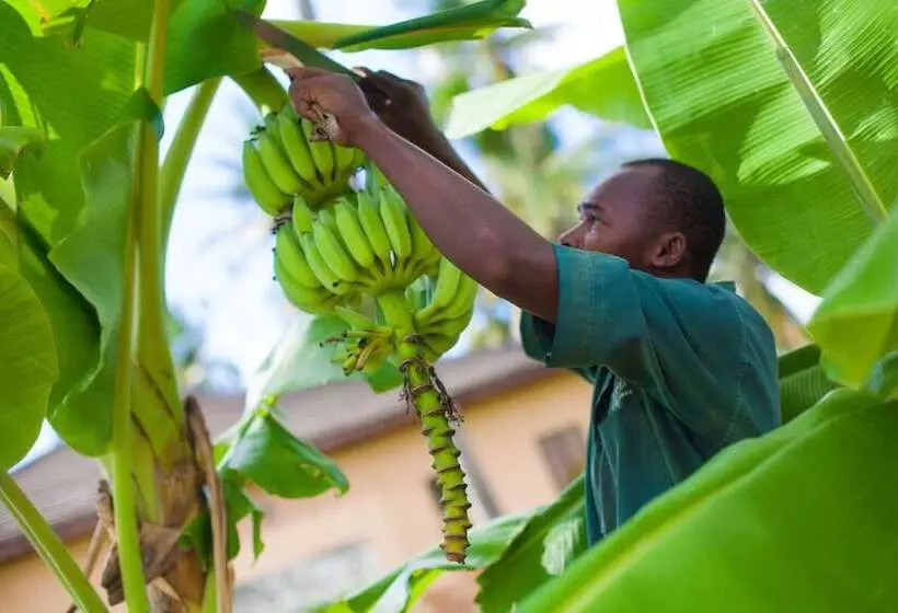 The Sands Beach Resort Zanzibar