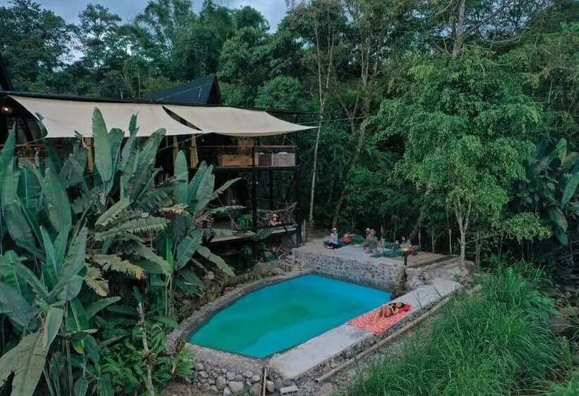 ホテル Suites Casa Colibrí