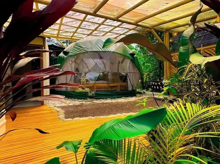 ホテル Suites Casa Colibrí