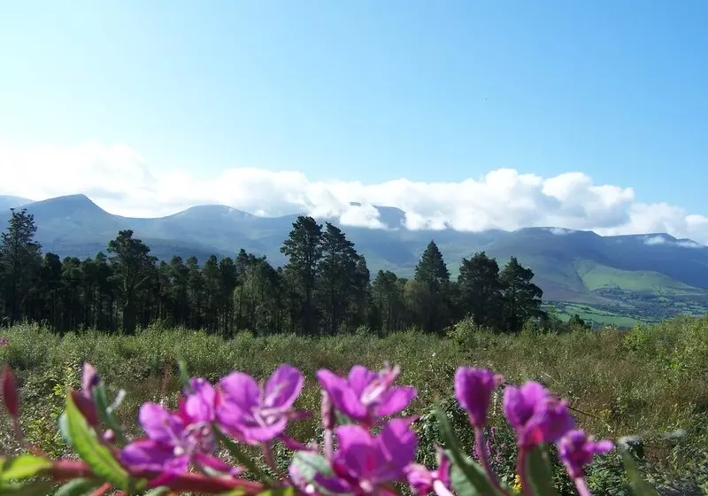Aamiaismajoitus (B&B) Ballinacourty House