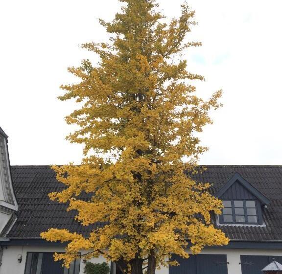 Bed and Breakfast Herligheden