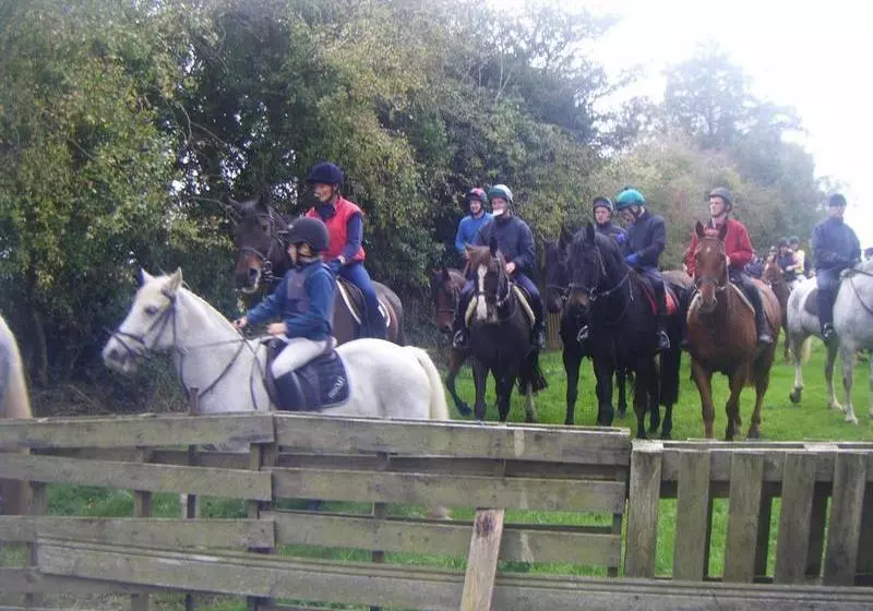 ベッドアンドブレックファースト Homeleigh Farmhouse